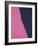 Shadows II, 1979 (pink)-Andy Warhol-Framed Giclee Print