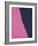 Shadows II, 1979 (pink)-Andy Warhol-Framed Giclee Print