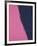 Shadows II, 1979 (pink)-Andy Warhol-Framed Giclee Print