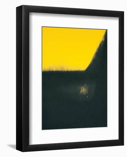 Shadows II, c.1979-Andy Warhol-Framed Art Print