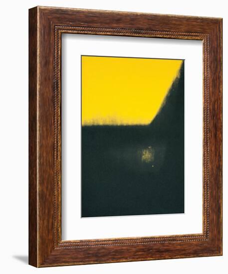 Shadows II, c.1979-Andy Warhol-Framed Art Print