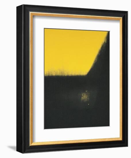Shadows II, c.1979-Andy Warhol-Framed Giclee Print
