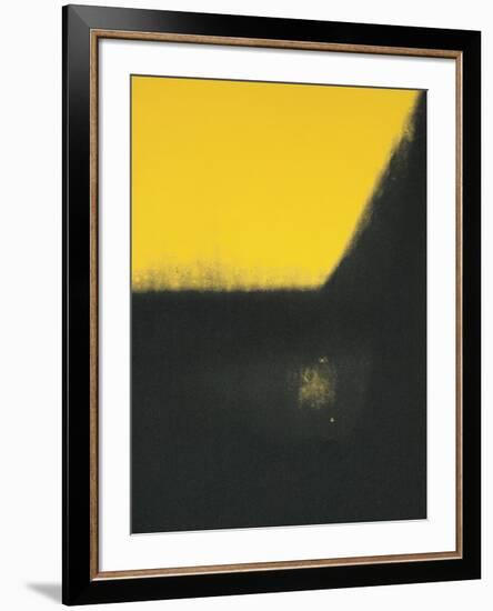 Shadows II, c.1979-Andy Warhol-Framed Giclee Print