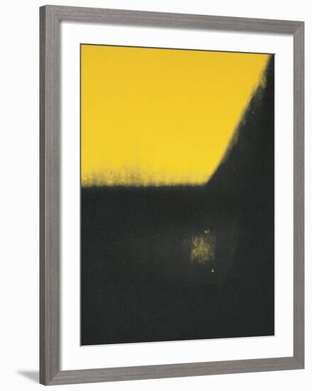 Shadows II, c.1979-Andy Warhol-Framed Giclee Print