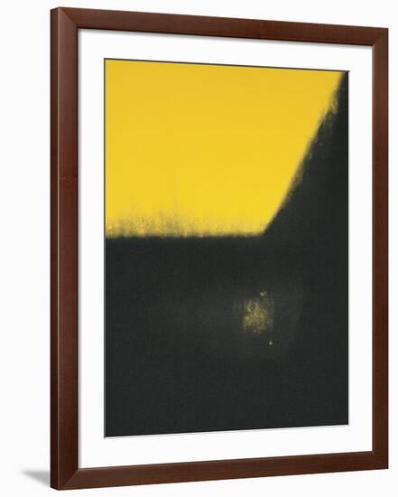 Shadows II, c.1979-Andy Warhol-Framed Giclee Print