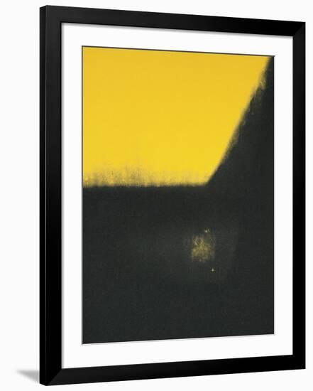 Shadows II, c.1979-Andy Warhol-Framed Giclee Print