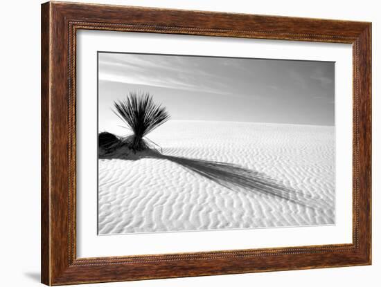 Shadows in the Sand I-Douglas Taylor-Framed Photographic Print