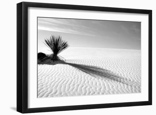 Shadows in the Sand I-Douglas Taylor-Framed Photographic Print