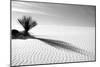 Shadows in the Sand I-Douglas Taylor-Mounted Photographic Print