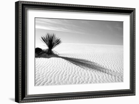 Shadows in the Sand I-Douglas Taylor-Framed Photographic Print