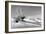 Shadows in the Sand II-Douglas Taylor-Framed Photographic Print