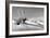 Shadows in the Sand II-Douglas Taylor-Framed Photographic Print