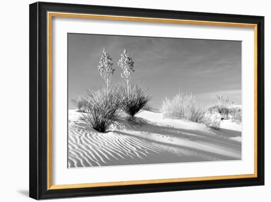 Shadows in the Sand II-Douglas Taylor-Framed Photographic Print