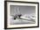 Shadows in the Sand II-Douglas Taylor-Framed Photographic Print