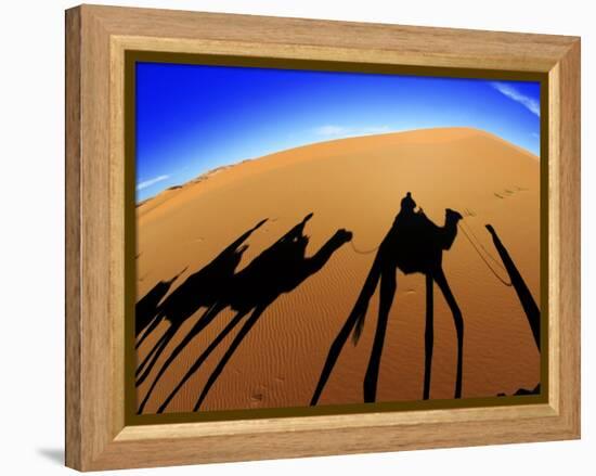 Shadows of Camels-Martin Harvey-Framed Premier Image Canvas