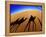 Shadows of Camels-Martin Harvey-Framed Premier Image Canvas