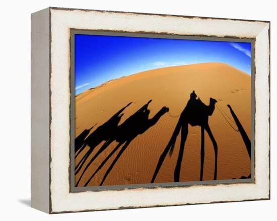 Shadows of Camels-Martin Harvey-Framed Premier Image Canvas