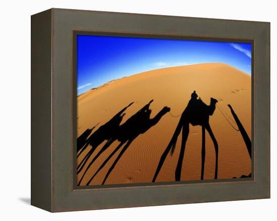 Shadows of Camels-Martin Harvey-Framed Premier Image Canvas