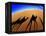 Shadows of Camels-Martin Harvey-Framed Premier Image Canvas