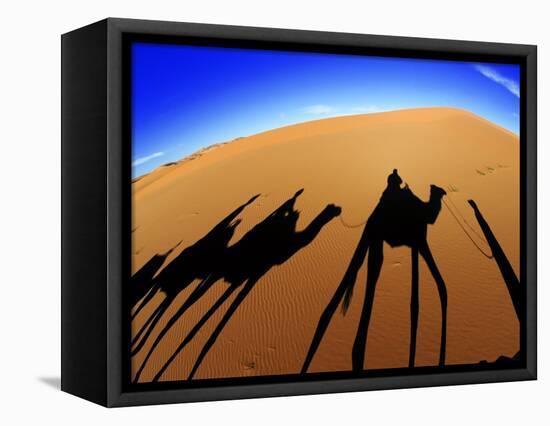 Shadows of Camels-Martin Harvey-Framed Premier Image Canvas