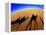 Shadows of Camels-Martin Harvey-Framed Premier Image Canvas