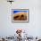 Shadows of Camels-Martin Harvey-Framed Photographic Print displayed on a wall