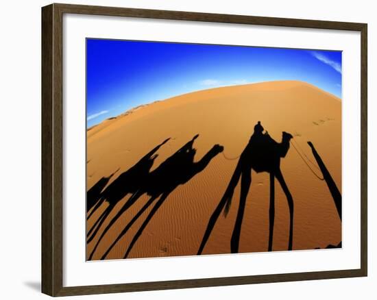 Shadows of Camels-Martin Harvey-Framed Photographic Print