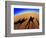 Shadows of Camels-Martin Harvey-Framed Photographic Print