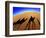 Shadows of Camels-Martin Harvey-Framed Photographic Print