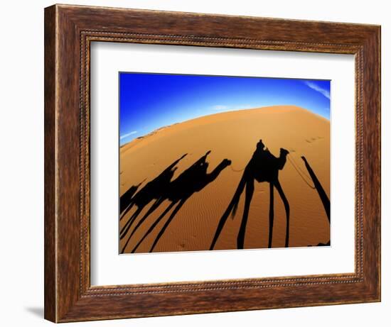 Shadows of Camels-Martin Harvey-Framed Photographic Print