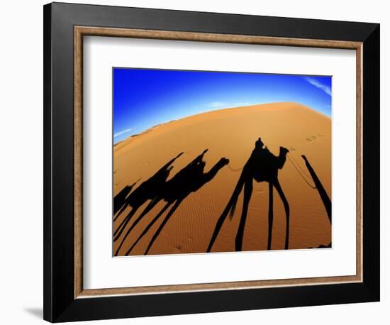 Shadows of Camels-Martin Harvey-Framed Photographic Print