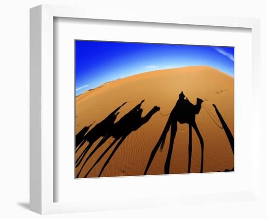 Shadows of Camels-Martin Harvey-Framed Photographic Print