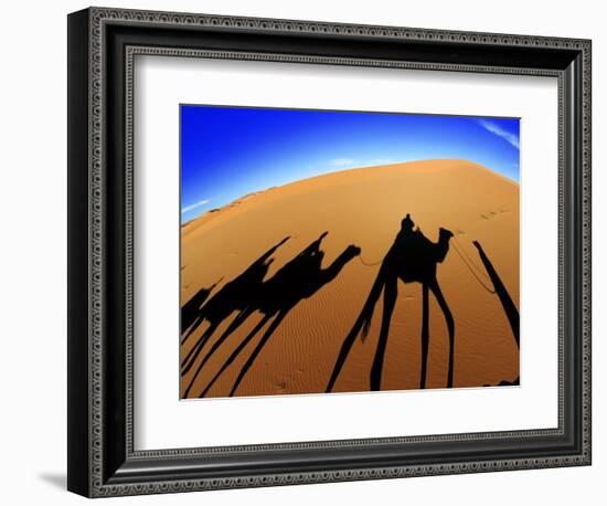 Shadows of Camels-Martin Harvey-Framed Photographic Print