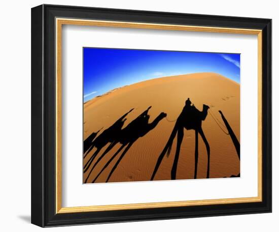 Shadows of Camels-Martin Harvey-Framed Photographic Print