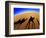 Shadows of Camels-Martin Harvey-Framed Photographic Print