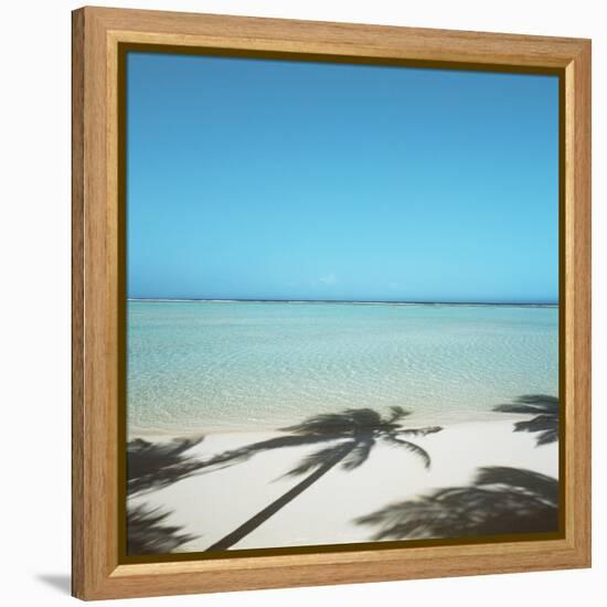 Shadows of Palm Trees on Beach-null-Framed Premier Image Canvas