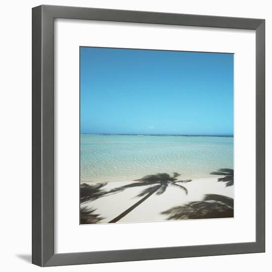 Shadows of Palm Trees on Beach-null-Framed Photographic Print