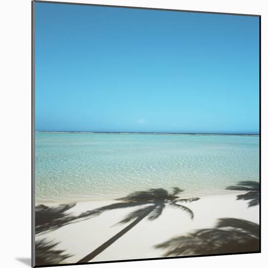 Shadows of Palm Trees on Beach-null-Mounted Photographic Print