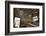 Shadows of Rafter on Sand in Abandoned House-Enrique Lopez-Tapia-Framed Photographic Print