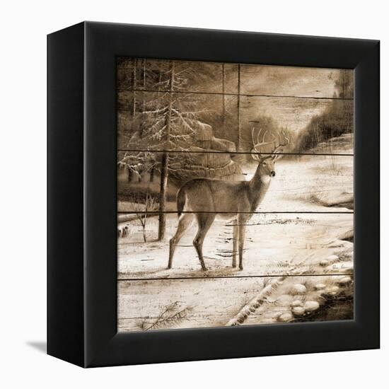 Shadows of the Forest-Ruane Manning-Framed Stretched Canvas