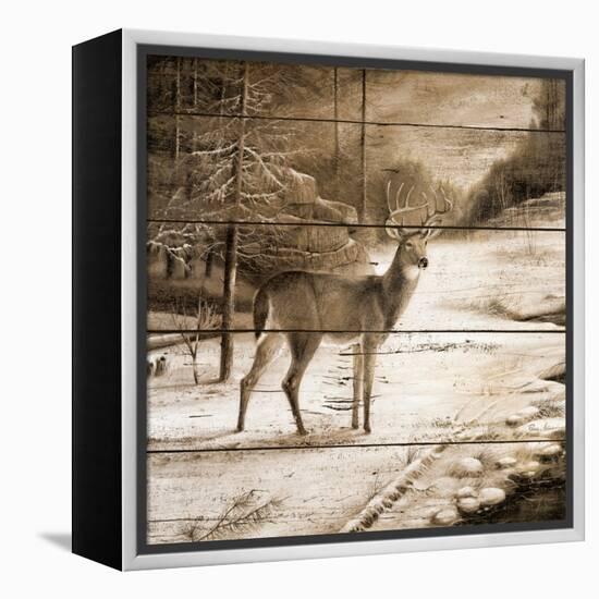 Shadows of the Forest-Ruane Manning-Framed Stretched Canvas