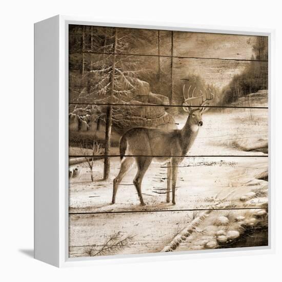 Shadows of the Forest-Ruane Manning-Framed Stretched Canvas