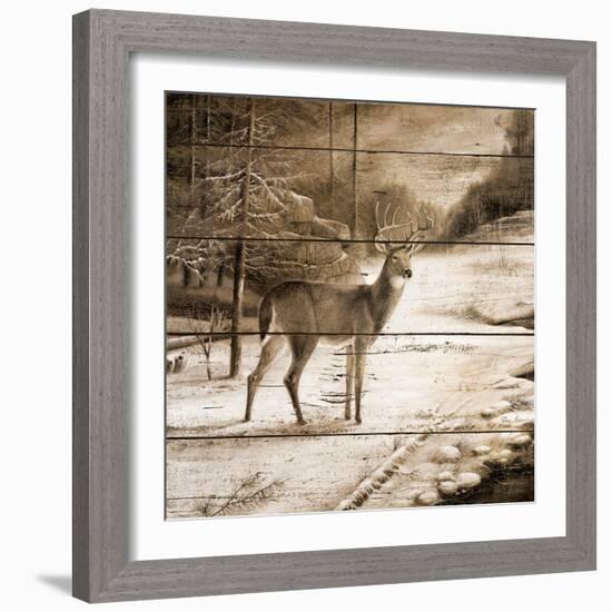 Shadows of the Forest-Ruane Manning-Framed Premium Giclee Print