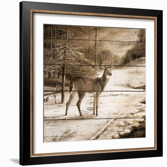 Shadows of the Forest-Ruane Manning-Framed Premium Giclee Print