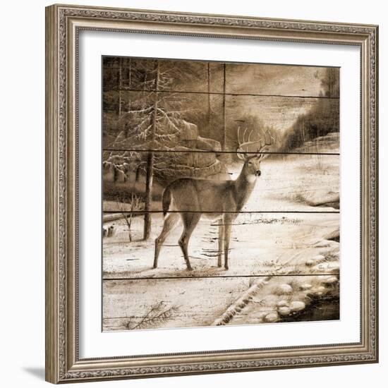 Shadows of the Forest-Ruane Manning-Framed Art Print