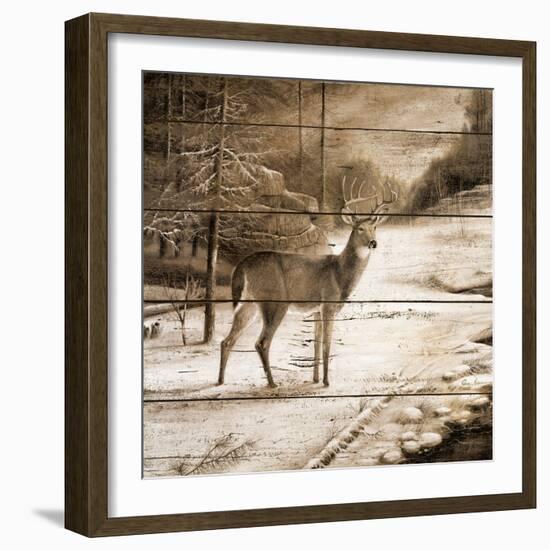 Shadows of the Forest-Ruane Manning-Framed Art Print