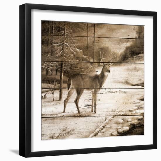 Shadows of the Forest-Ruane Manning-Framed Art Print