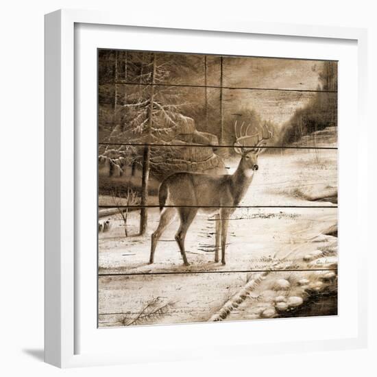 Shadows of the Forest-Ruane Manning-Framed Art Print