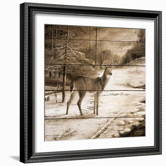 Shadows of the Forest-Ruane Manning-Framed Art Print