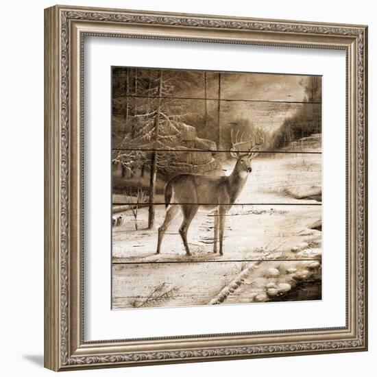 Shadows of the Forest-Ruane Manning-Framed Art Print